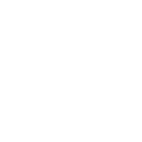 ayden