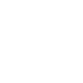 saleforce