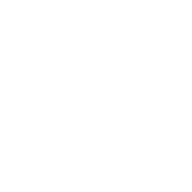 translation